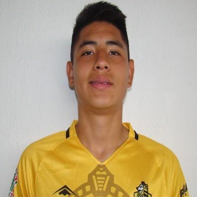Diego Isaac Hernández Carrasco