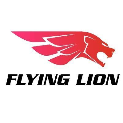 Flying Lion Gaming [4]