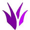 VM Move