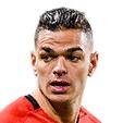Hatem Ben Arfa