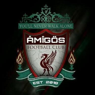 AMIGOS
