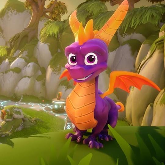 Dragons