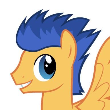 Flash Sentry
