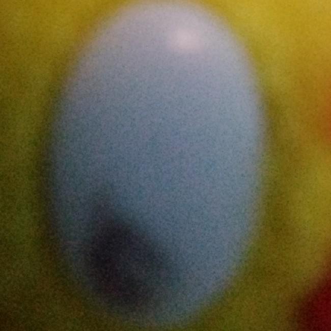 Magege