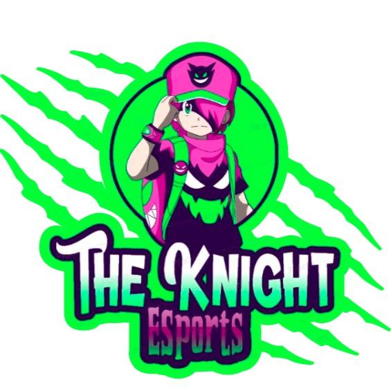 THE KNIGHT
