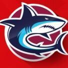 Tiburones