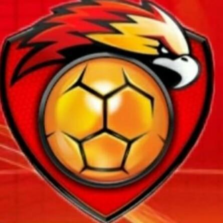 Halcones Dorados
