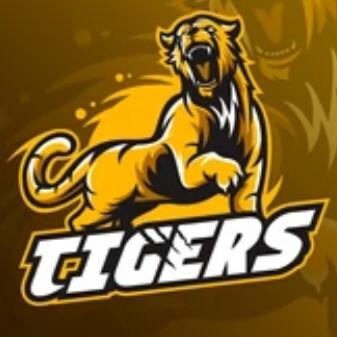 Tigres Do Fogo