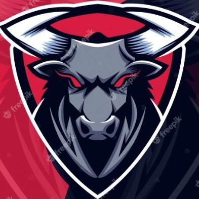 Toros