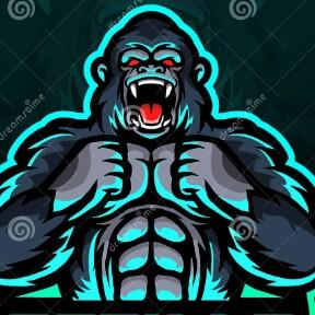 Gorilas