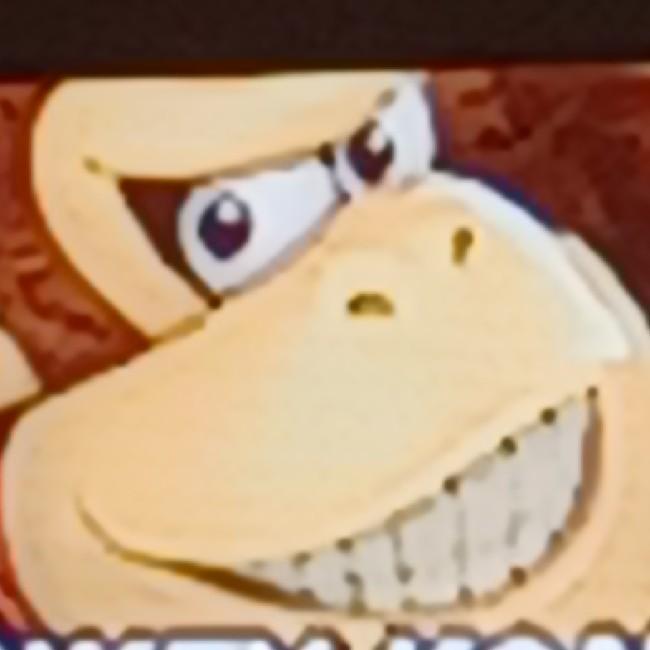 Slammer Kongs