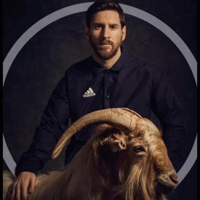 Goat