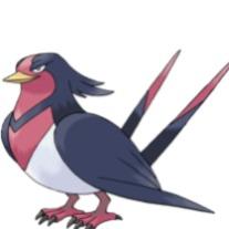 Swellow