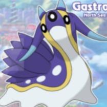 H-Gastrodon