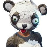 Líder Del Equipo P.A.N.D.A