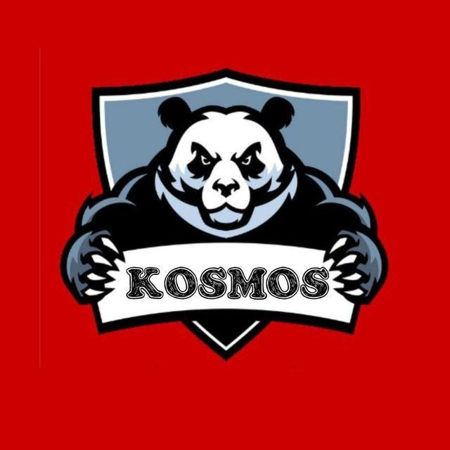 Kosmos