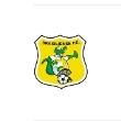 Brasiliense