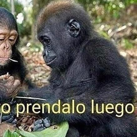 DEF) SILVIO