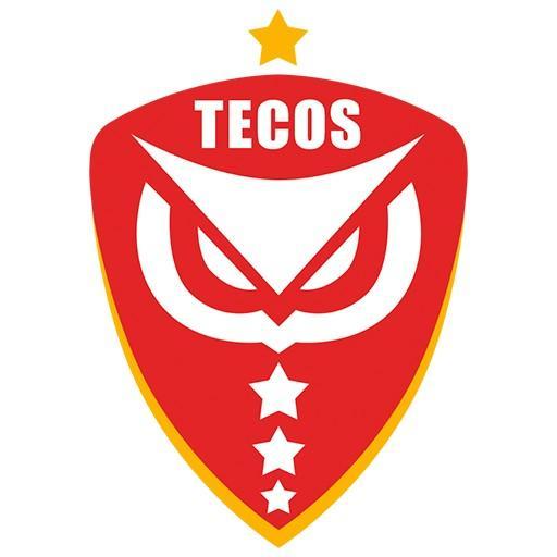 Tecos U.A.G.