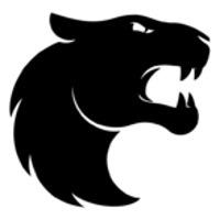 FURIA Esports