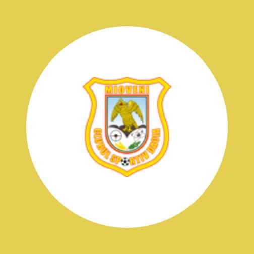 Mioveni