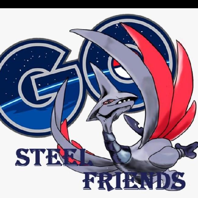 Team Steel Go