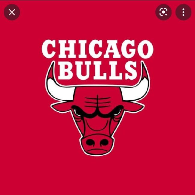 Chicago Bulls