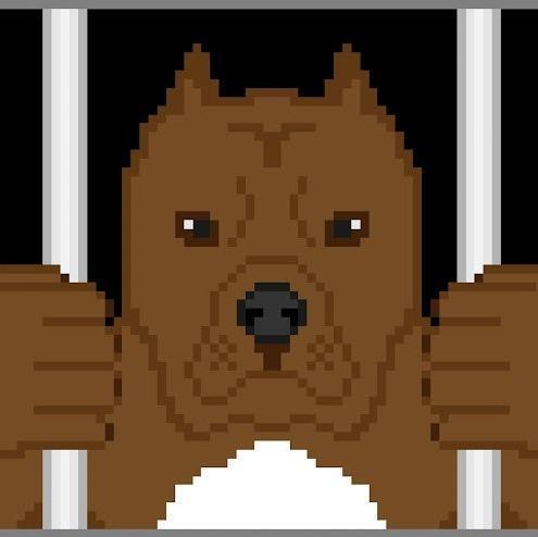 JOKI LOSE STREAK [JLS]