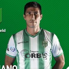 Lollo