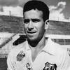DALMO GASPAR