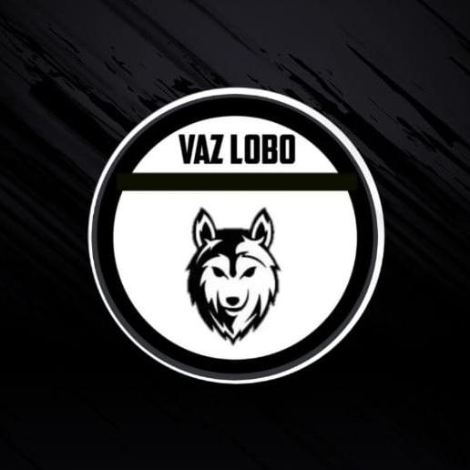 SUB-20 VAZ LOBO FC