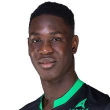 B. Fall 🇸🇳