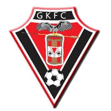 Gavião Kyikatejê