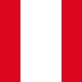 Gabriel Mineiro [Peru]