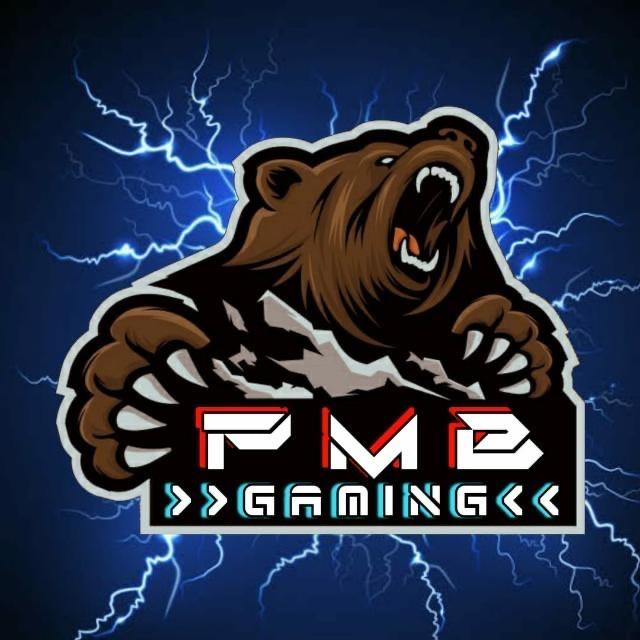 PMB GAMING A