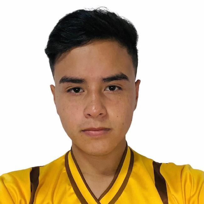 Alejandro luis Bucio Suárez