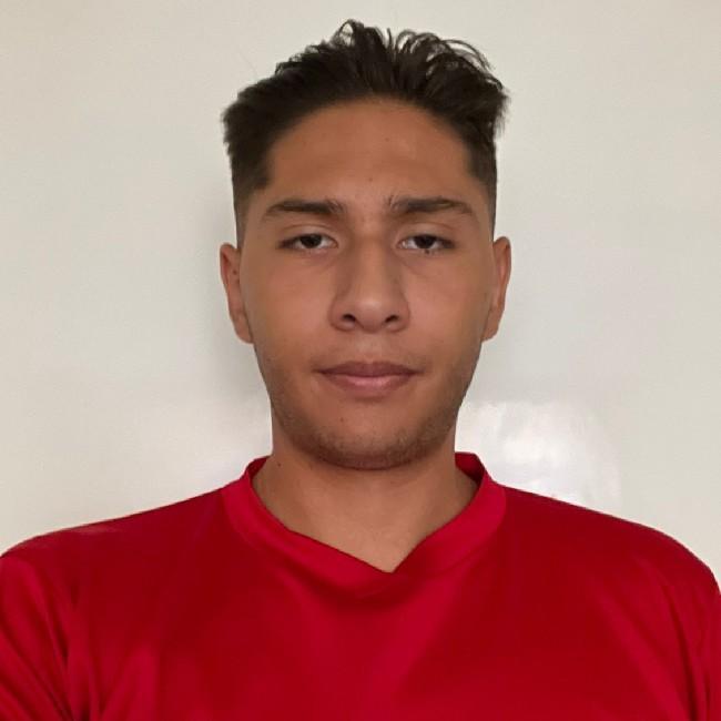 José Carlos Gallo Brindas