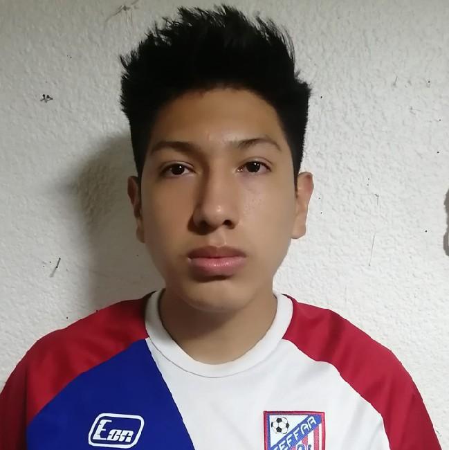 Julio Vallejo Galicia