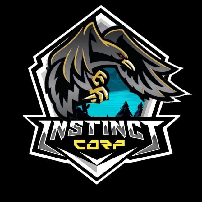 INSTINCT CORP