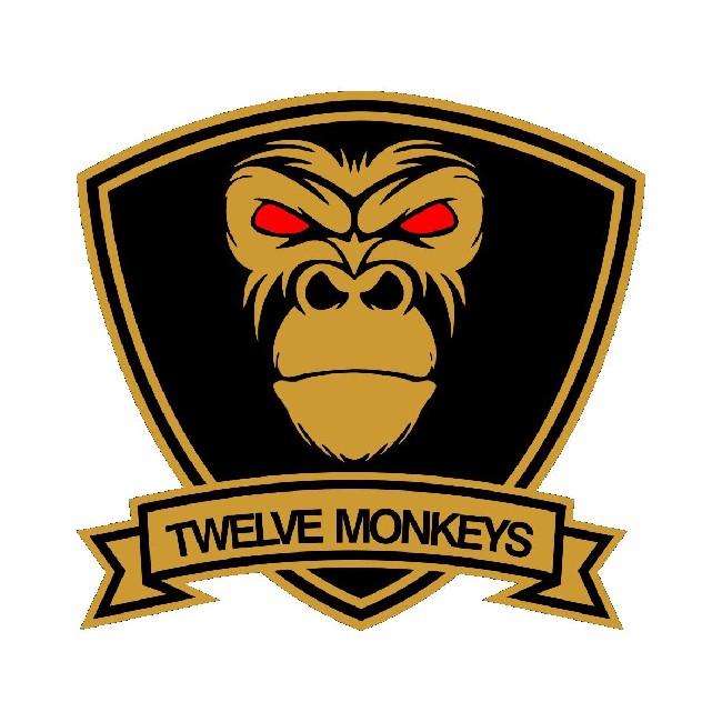 AZTEC MONKEY