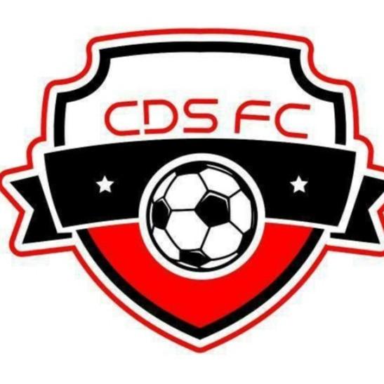 CDs