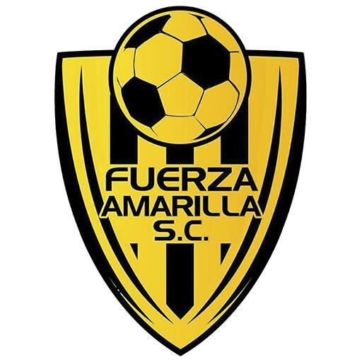 Fuerza Amarilla