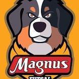 Magnus FC