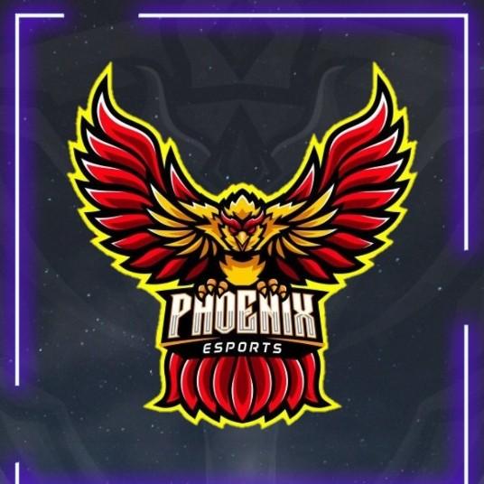 Phoenix Spørts