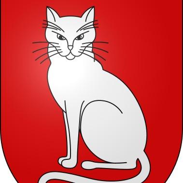 Gatos FC