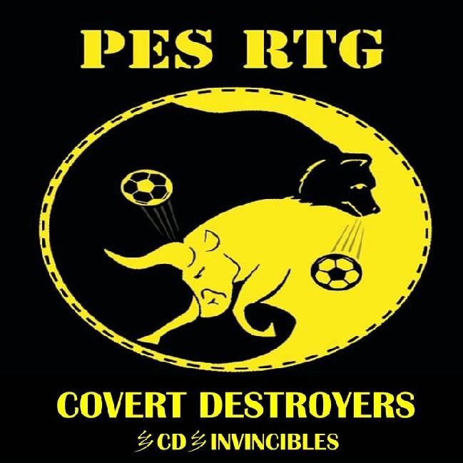 COVERT DESTROYERS INVINCIBLE
