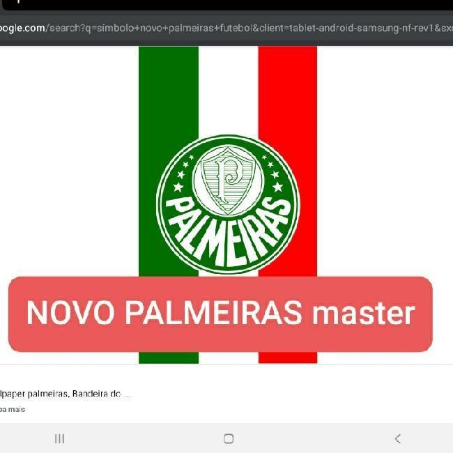 NOVO PALMEIRAS master