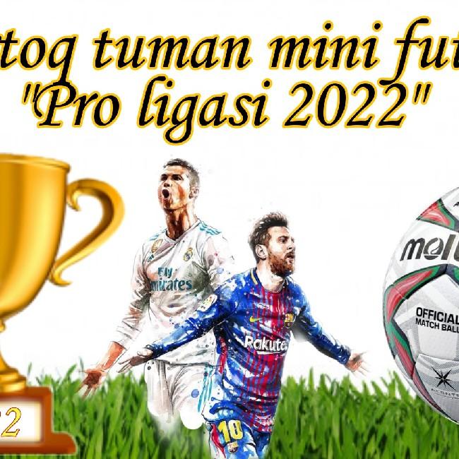 "Pro liga 2022"