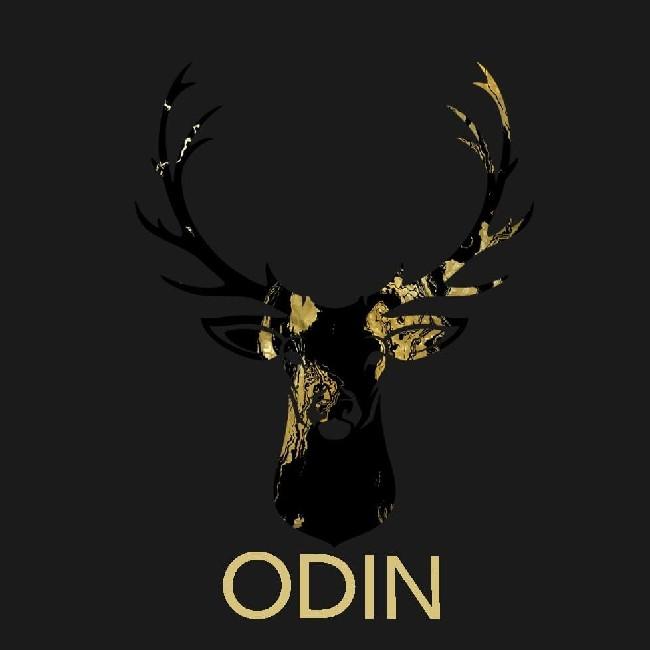 Odin Fc