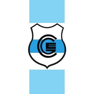 Gimnasia y esgrima